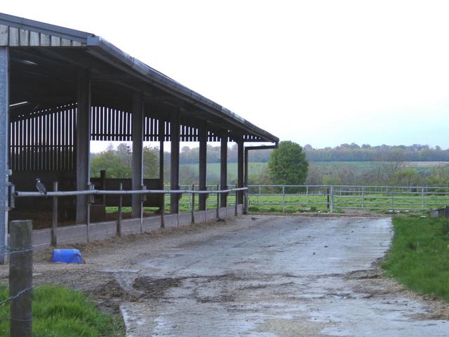 Confluence ~50m in the back at the corner of the shed