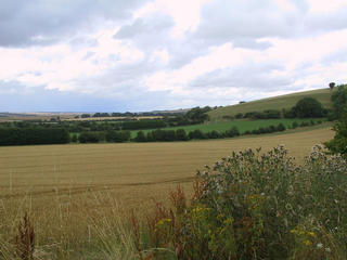 #1: West toward the confluence