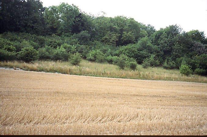 West, steep slopes are still wooded