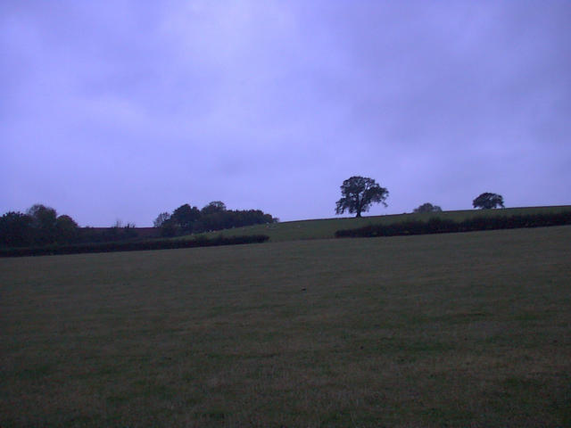 Looking West from the Confluence