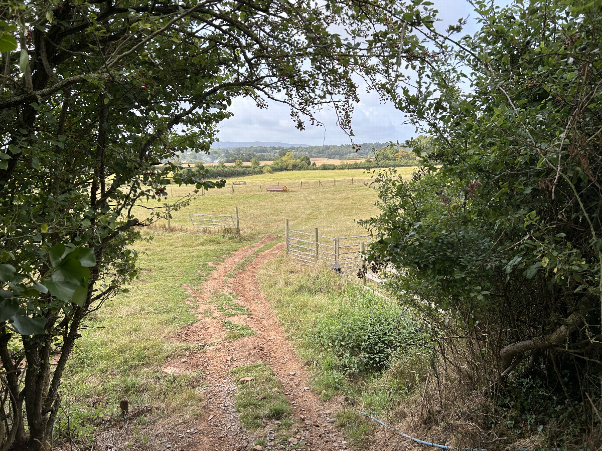 Initial view of field heading to the site. 