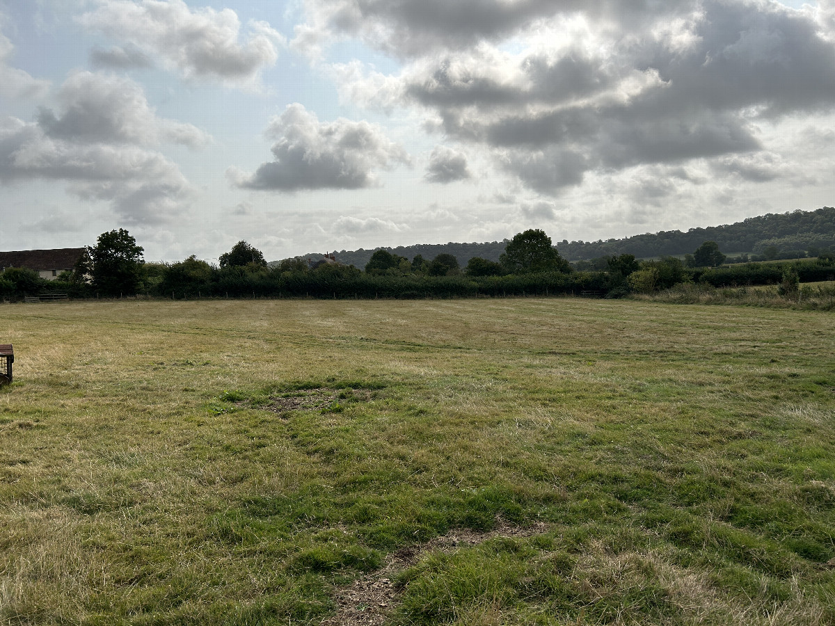 View to the east from the confluence. 