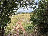 #10: Initial view of field heading to the site. 