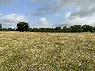 #2: The view to the north from the confluence point. 