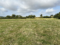 #5: View to the west from the confluence point. 