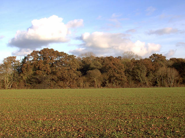 view to the east from 51N4W