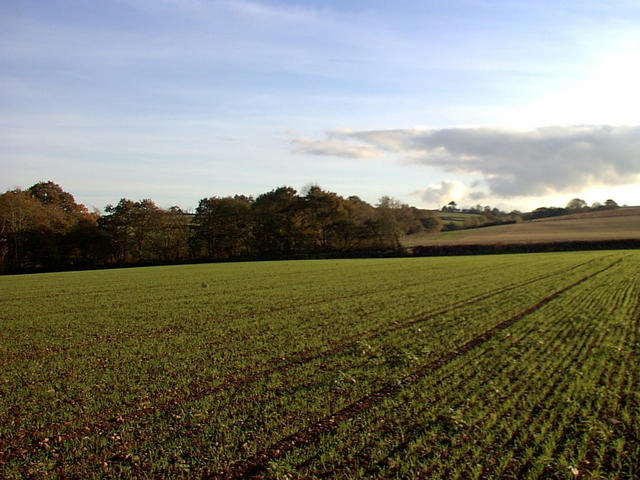 view to the south from 51N4W