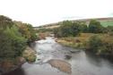 #7: River Taw