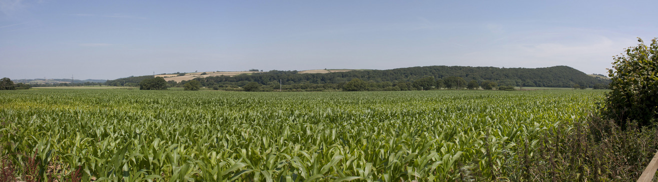 Field - West-South-East