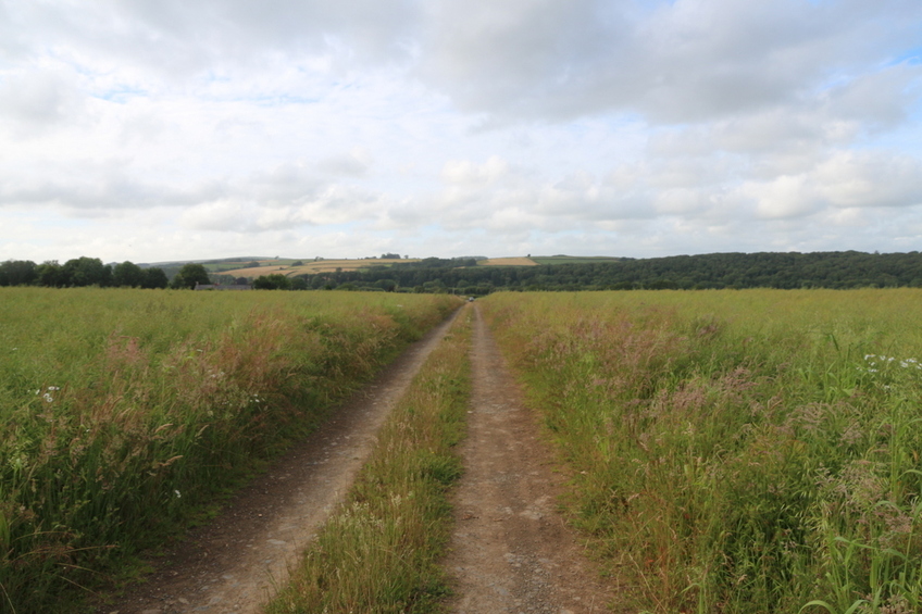 View looking North