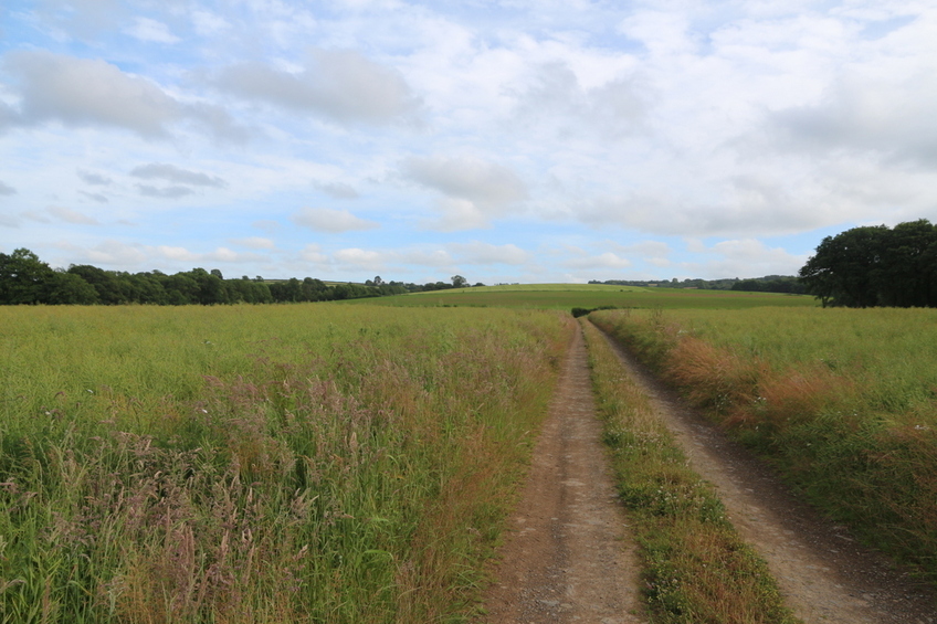 View looking South