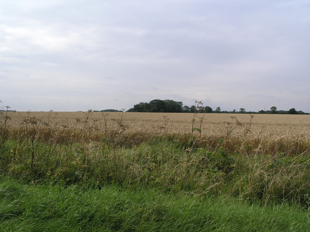 View towards the confluence