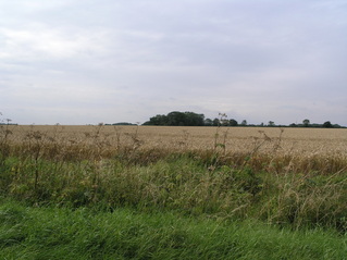 #1: View towards the confluence