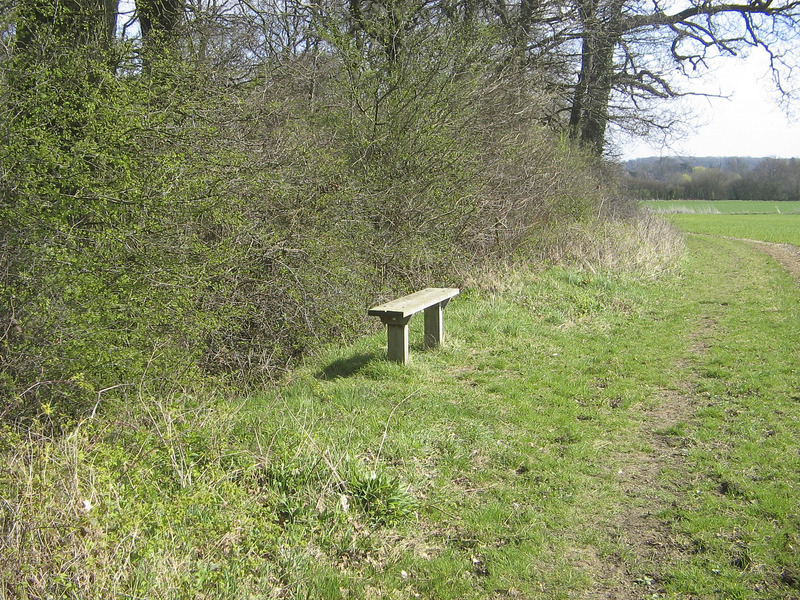 Bench