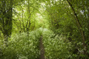 #2: The path...