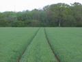 #5: View to the north from the confluence--left side is the western hemisphere, right side is eastern hemisphere.