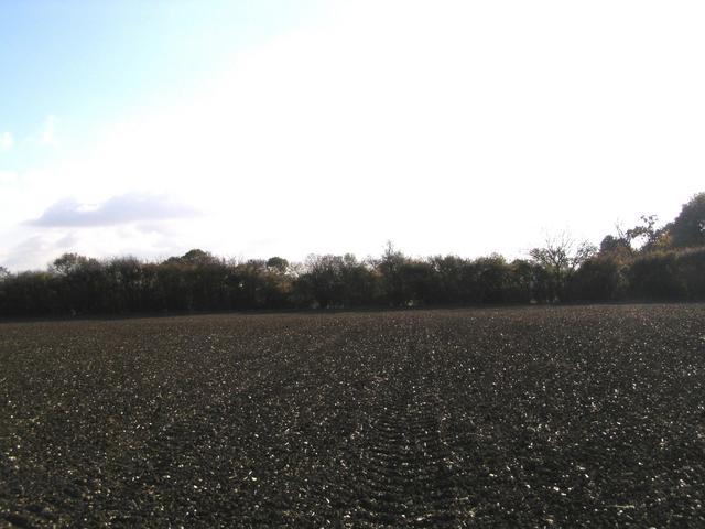 At the confluence looking south