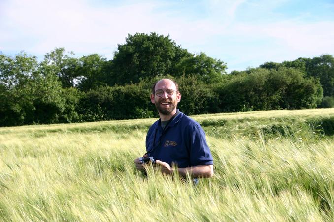 Werner waist high in wheat