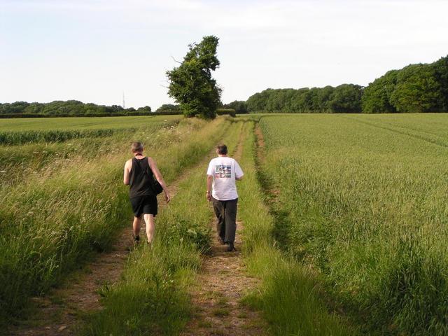 a bridleway leading towards the confluence