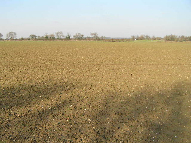 View from the confluence to the north.