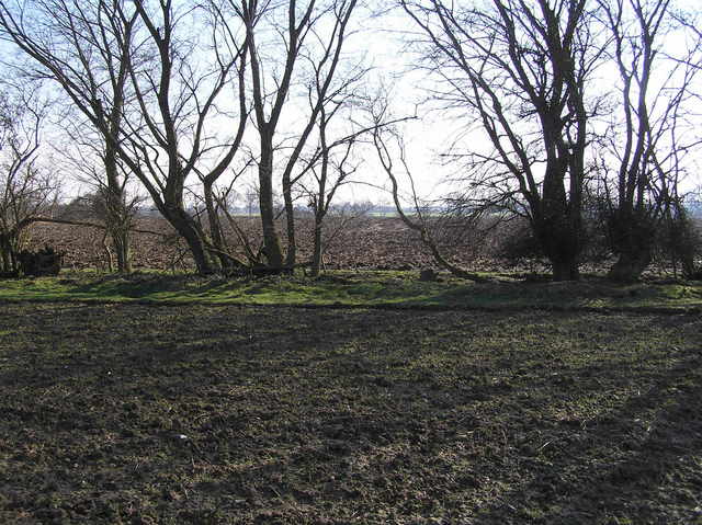 View to the south from the confluence of 52 North 1 East.