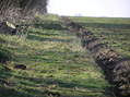 #7: Interesting ground-level shot from the edge of the field where the confluence is located, looking west-southwest.