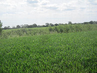 #3: Süden; view south