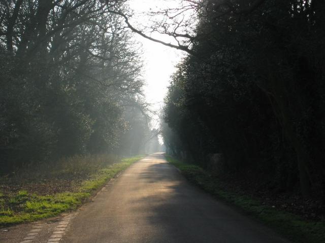 Road to the Confluence