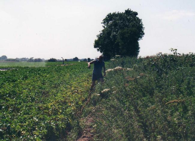 A refreshing soak from the crop sprayer