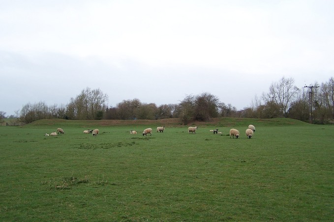 View towards W from the confluence