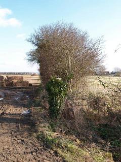 #1: looking towards the confluence from about 60m