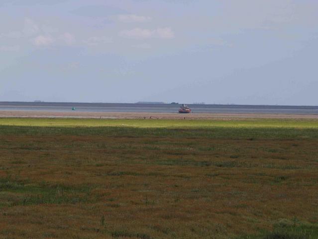 the Wash with the tide out