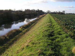 #1: View to the west-southwest from the confluence of 53 North 0, on the Prime Meridian.