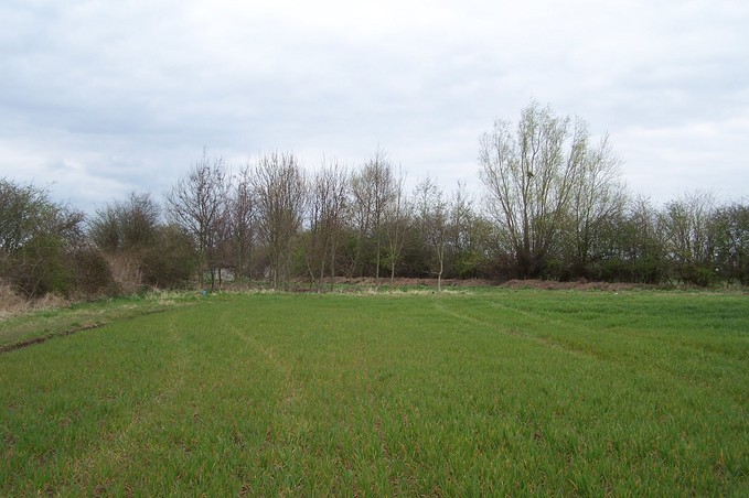 General view of the confluence (towards N)