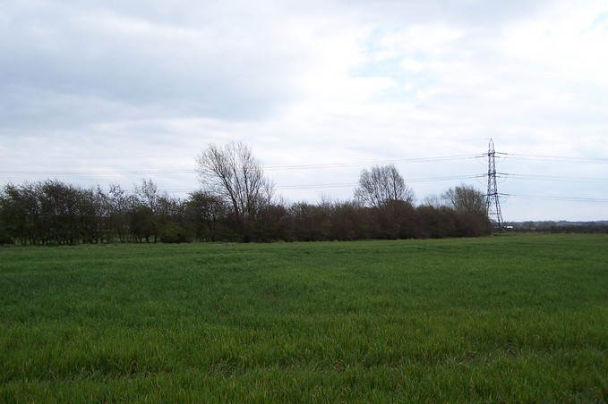 View towards E from the confluence