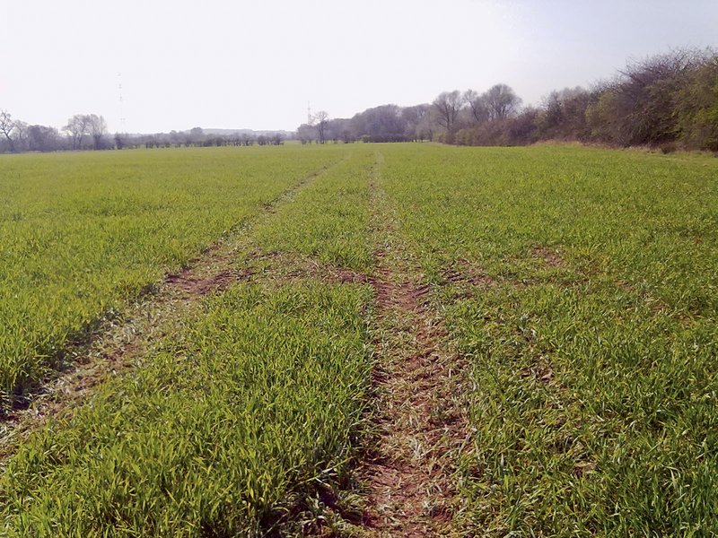 Tractor tracks