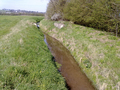 #7: Ditch