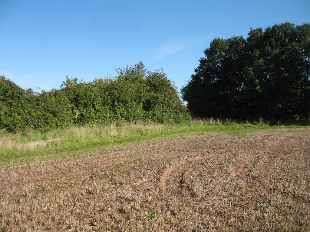 Norden; view north