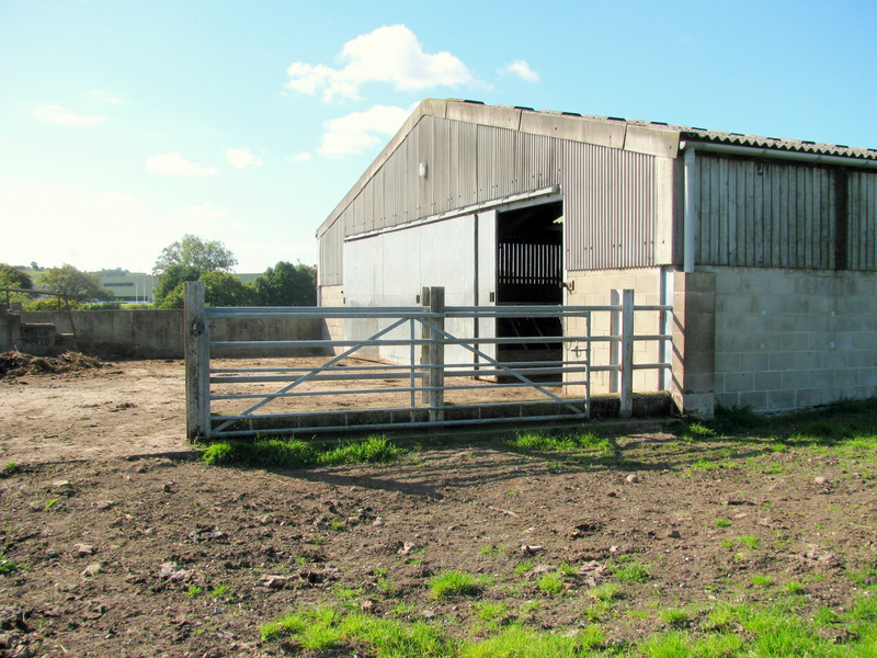 Looking West towards the barn.