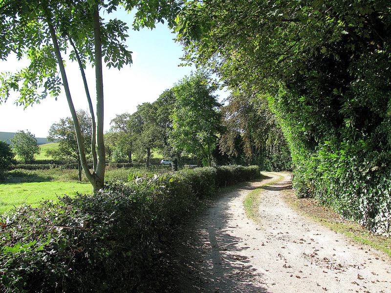 The lane into Harewood Hall and Harewood Hall Farm.