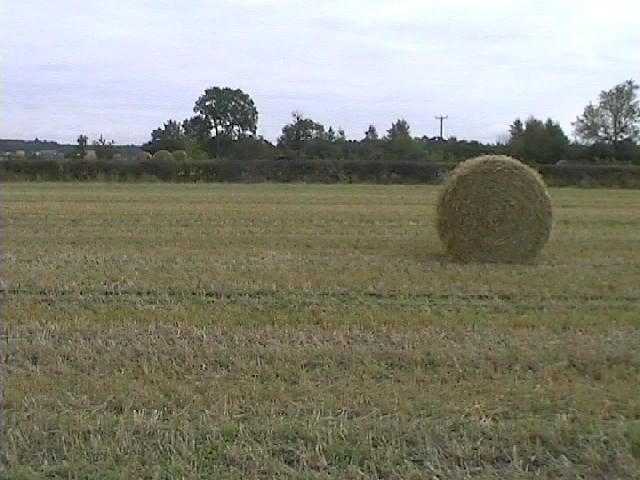 Looking to the North with the A64 road in the distance.