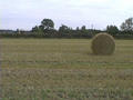 #2: Looking to the North with the A64 road in the distance.