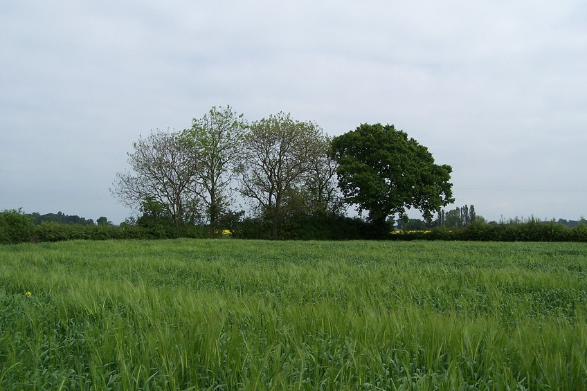 General view of the confluence (towards N)