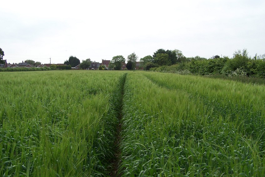 View towards S from the confluence