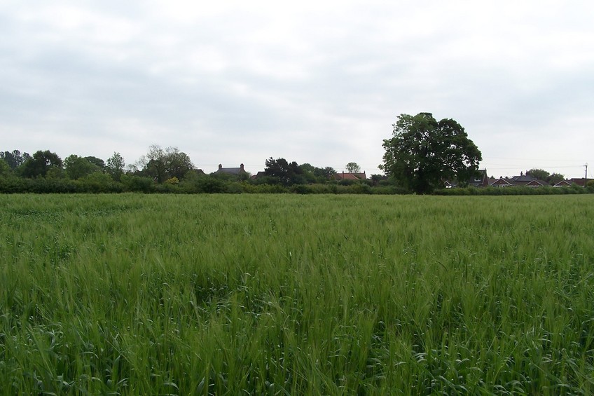 View towards SE from the confluence