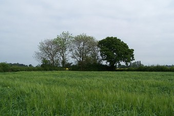 #1: General view of the confluence (towards N)