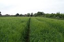 #4: View towards S from the confluence