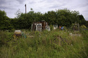 #11: Allotment