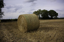 #7: Hay roll