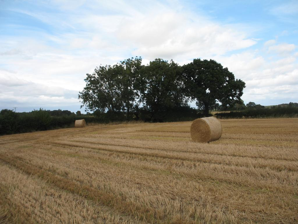 Norden; view north